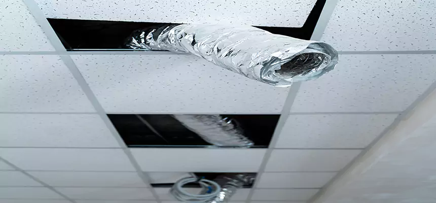 Our Air Duct Pet Hair Removal Services in Mason, OH